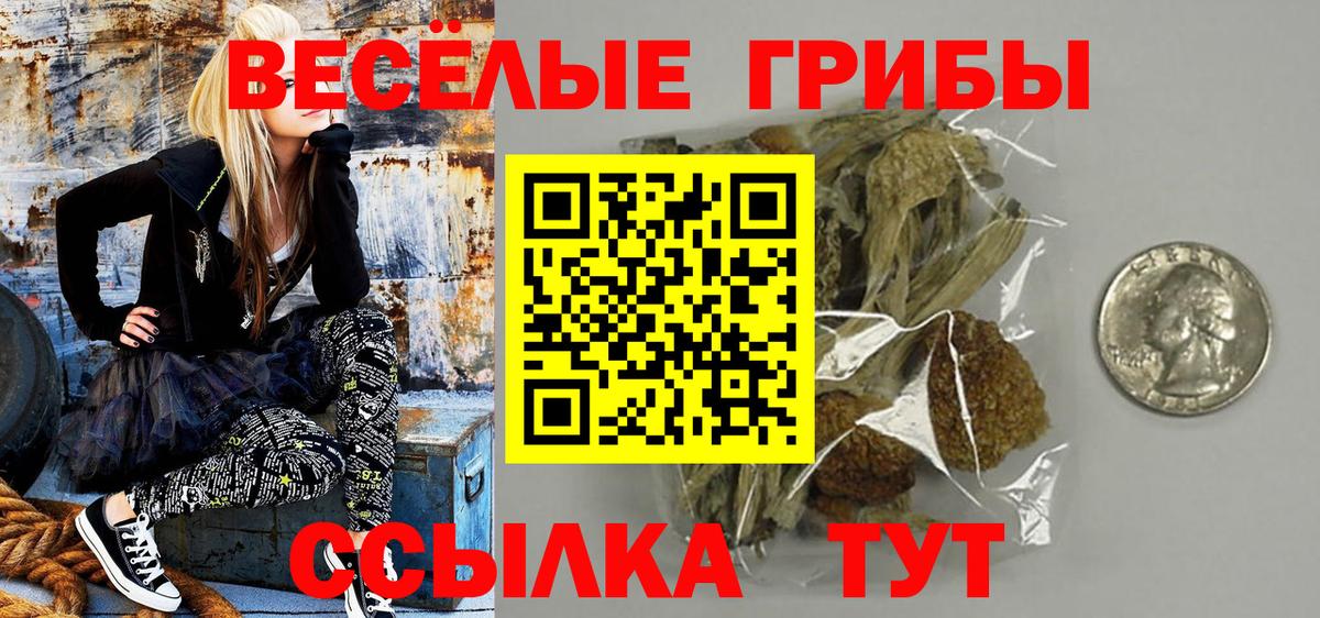 Галлюциногенные грибы Psilocybine cubensis Кострома