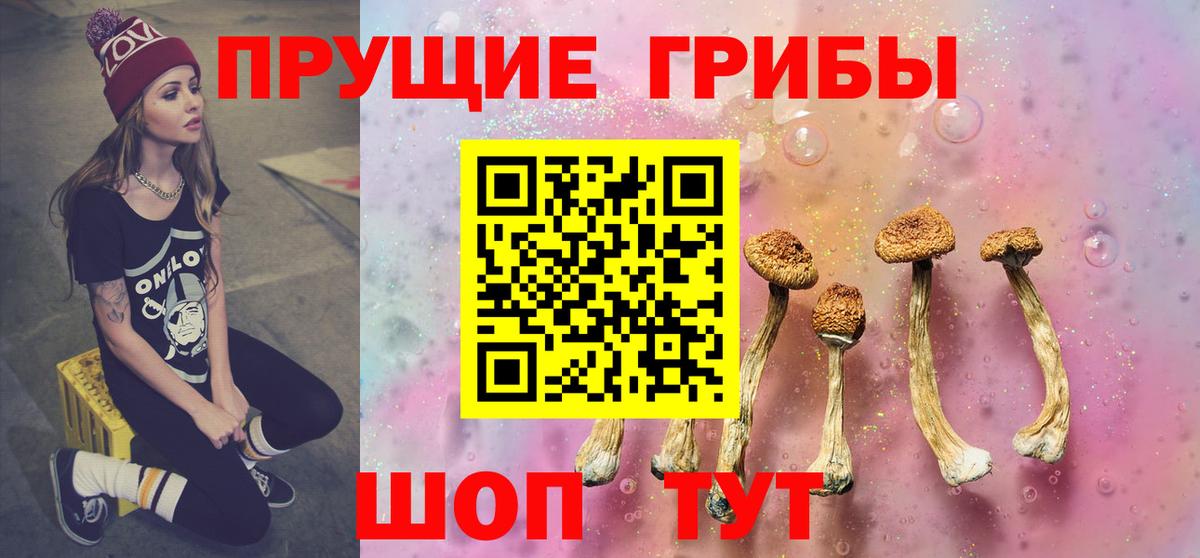 купить  цена  Галлюциногенные грибы Psilocybe  Вход с VPN  Кострома  Галлюциногенные грибы GOLDEN TEACHER 