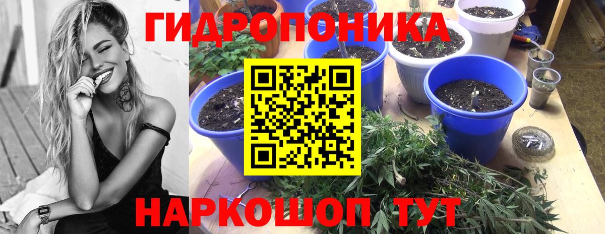 Бошки Шишки SATIVA & INDICA Кострома
